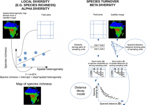 new article on species diversity monitoring with remote sensing