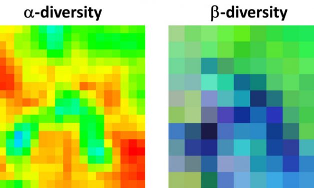 new publication: Measuring β‐diversity by remote sensing: A challenge for biodiversity monitoring