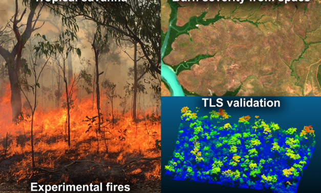 New Publication: Exploring the Potential of C-Band SAR in Contributing to Burn Severity Mapping in Tropical Savanna