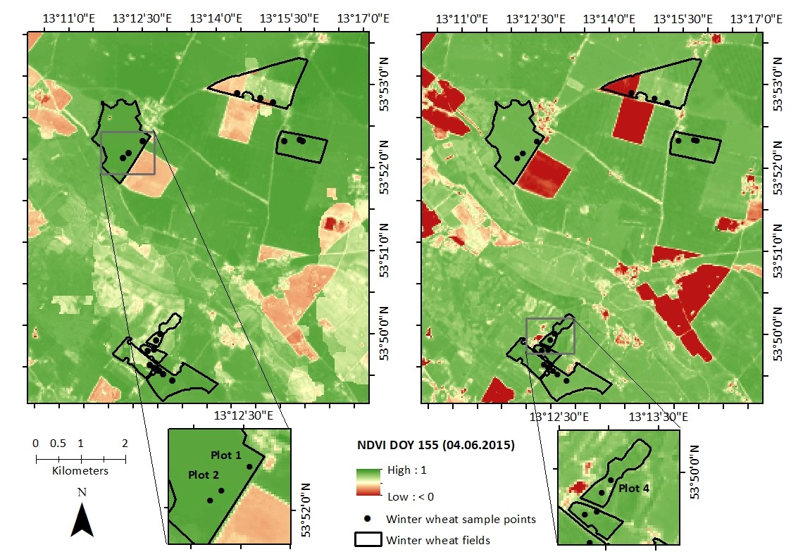 Article published: Modelling Crop Biomass from Synthetic Remote Sensing Time Series: Example for the DEMMIN Test Site, Germany