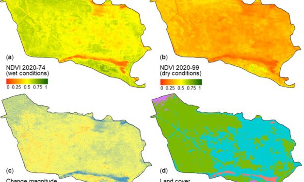 New publication: Coverage and Rainfall Response of Biological Soil Crusts Using Multi-Temporal Sentinel-2 Data in a Central European Temperate Dry Acid Grassland