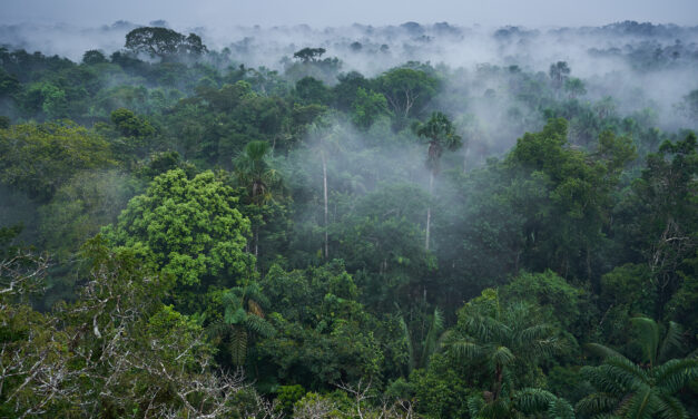 New Publication on analyzing deforestation in continental Ecuador