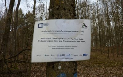 Field work in the DFG beta-FOR sites