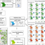 New Publication: Impact of STARFM on Crop Yield Predictions: Fusing MODIS with Landsat 5, 7, and 8 NDVIs in Bavaria Germany