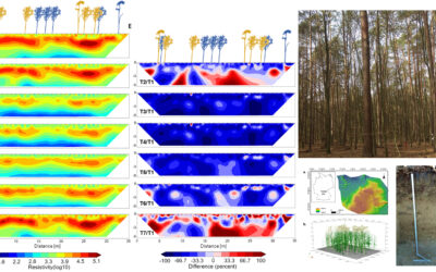 New Publication: Monitoring spatiotemporal soil moisture variability in the unsaturated zone of a mixed forest using electrical resistivity tomography