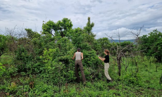 Successful Field Work Campaign in Akagera NP, Rwanda
