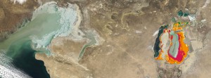 Loew_etal_Aralsea_LandCover