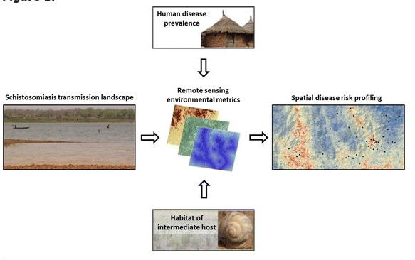 new publication: Risk profiling of schistosomiasis using remote sensing: approaches, challenges and outlook
