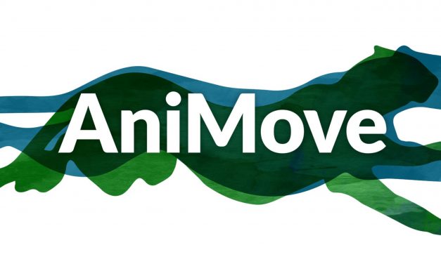 application deadline for AniMove summer school is approaching