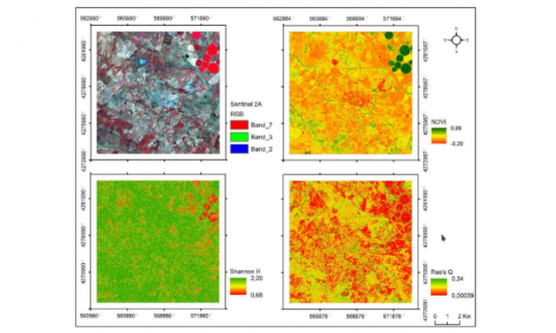 new article: Measuring β-diversity by remote sensing: a challenge for biodiversity monitoring