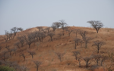 Stellenausschreibung – Wissenschaftliche/r Mitarbeiter/in: Landnutzung im Kontext des Klimawandels in Westafrika