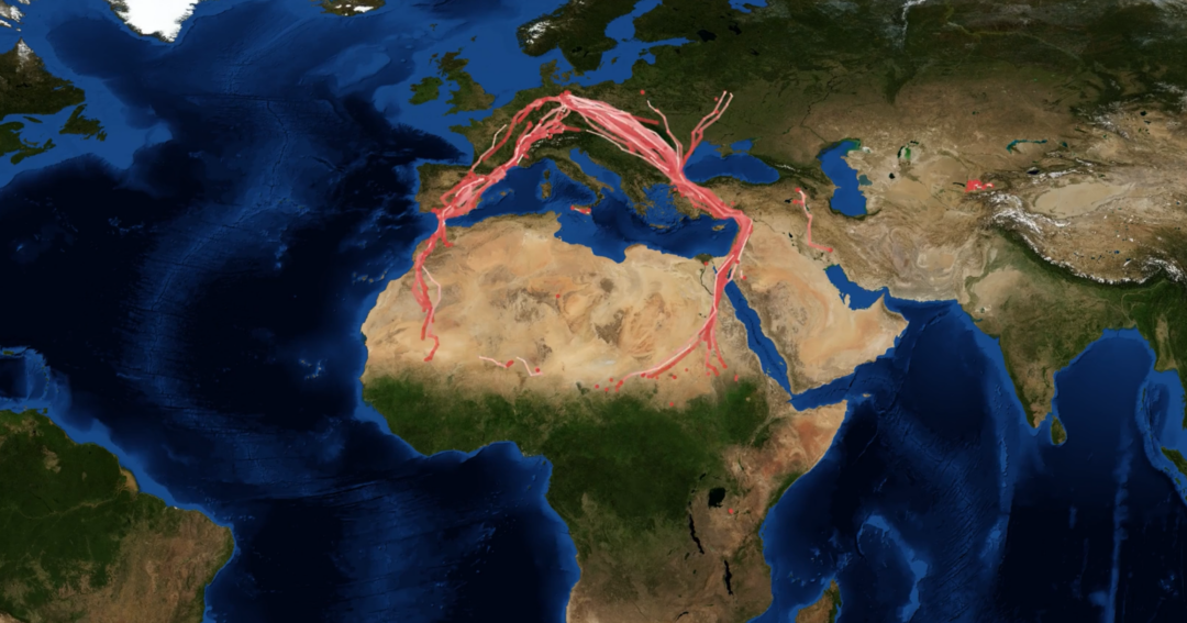 Students study animal-environment interactions at the Earth Observation ...