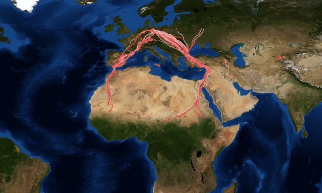 Students study animal-environment interactions at the Earth Observation Research Hub