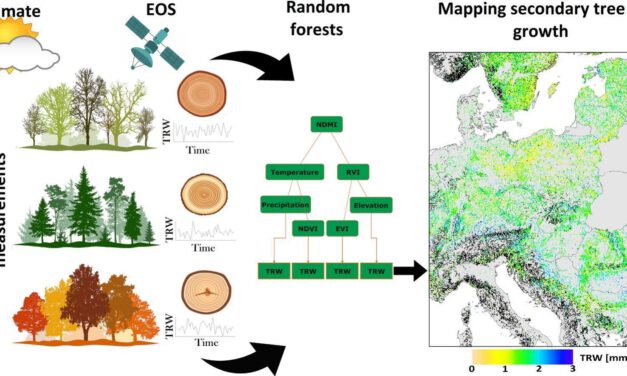 New publication: Incorporating high-resolution climate, remote sensing and topographic data to map annual forest growth in central and eastern Europe
