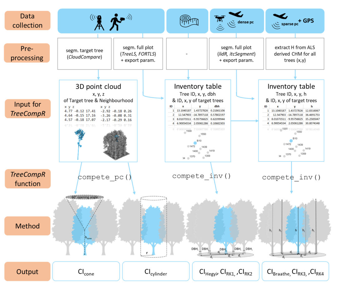 New publication on Tree Competition R package TreeCompR - Earth ...