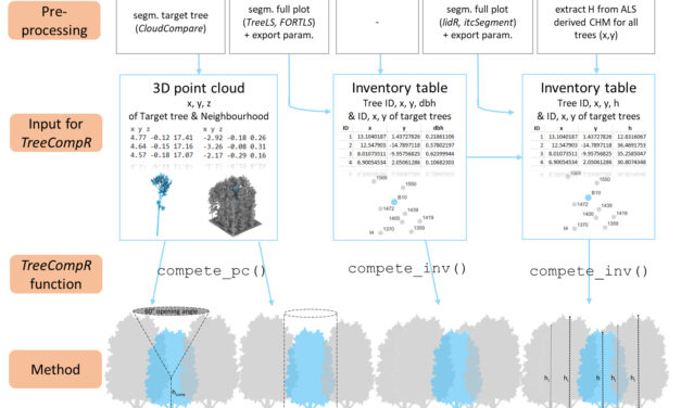 New publication on Tree Competition R package TreeCompR