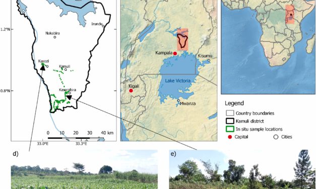 NEW PUBLICATION ON PHENOLOGICAL PATTERNS OF DIVERSE, SMALL-SCALE CROPPING SYSTEMS IN EAST AFRICA