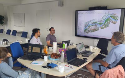 Meeting of the FluBig Project Team