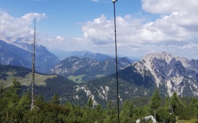 Internship Presentation: Small-scale 3D model generation by photogrammetry of alpine vegetation in Berchtesgaden National Park