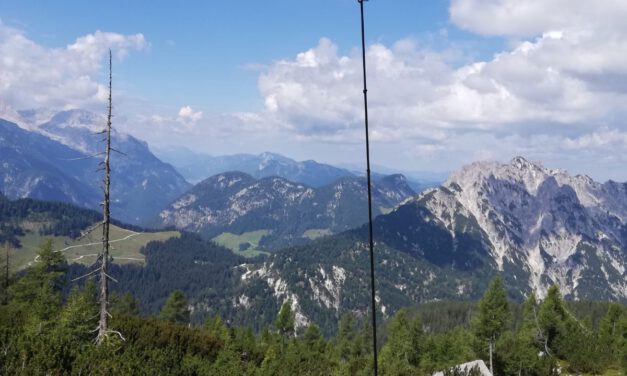 Internship Presentation: Small-scale 3D model generation by photogrammetry of alpine vegetation in Berchtesgaden National Park