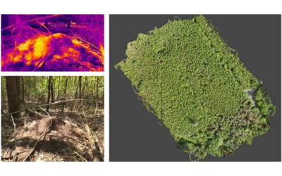 Thermal mapping within the MonitAnt project