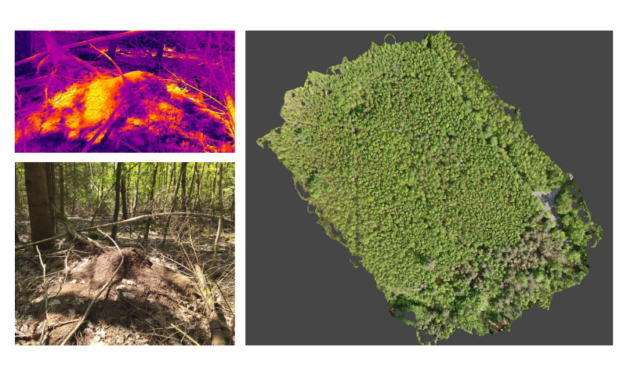 Thermal mapping within the MonitAnt project