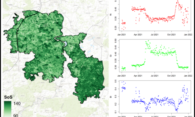 Master Defense: Comparing the suitability of remote sensing and wildlife camera time series for deriving phenological metrics of understory vegetation in temperate forests of Upper Franconia, Bavaria