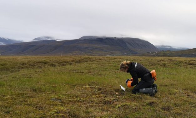 Our EAGLE Clara is doing her internship in the Arctic