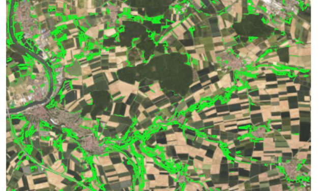 Master Defense: Detection of hedgerows and copses in the agricultural landscape of Lower Franconia (Germany) using earth observation data