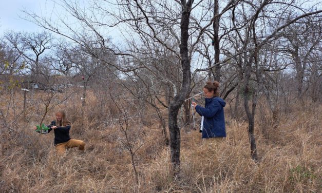 Our Earth Observation students doing their internship with SANparks, South Africa