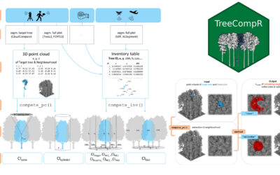 New Publication: TreeCompR: Tree competition indices for inventory data and 3D point clouds