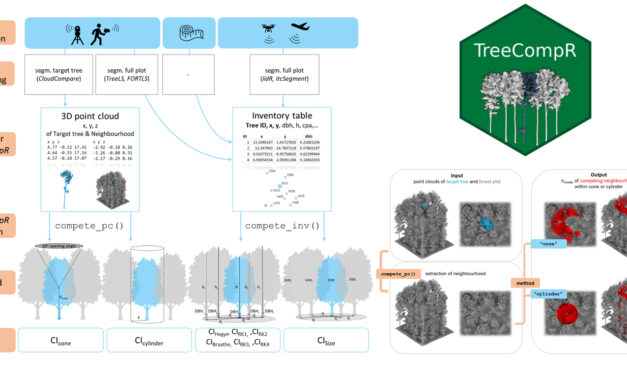 New Publication: TreeCompR: Tree competition indices for inventory data and 3D point clouds