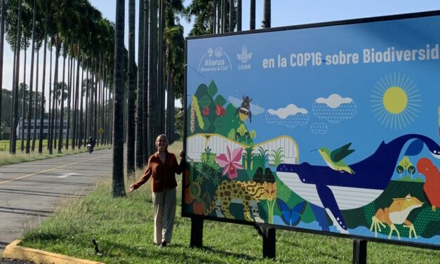 EAGLE internship at CIAT in Colombia