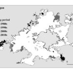 New publication: Connection beyond borders: exploring sense of belonging across urban satellites conurbed by a medium-sized Mexican city