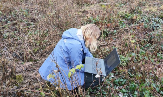 Research in the University Forest