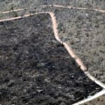 PhD position: Earth Observation of drought and fire impacts