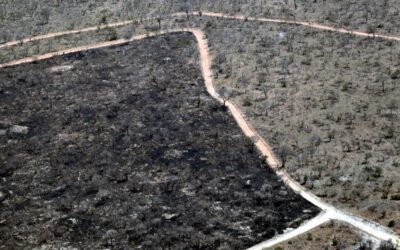 PhD position: Earth Observation of drought and fire impacts