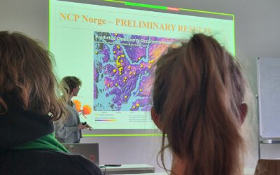 Mapping NCPs in Norway: An Internship Presentation by Sonja Maas