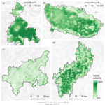 [presentationT] EAGLE Master Thesis Defense “Linking Wildlife Conservation to Nature’s Contributions to People: A Case Study for the European Wildcat (Felis silvestris silvestris) in German Protected Forests”