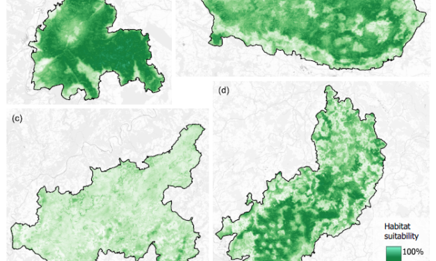 EAGLE Master Thesis Defense “Linking Wildlife Conservation to Nature’s Contributions to People: A Case Study for the European Wildcat (Felis silvestris silvestris) in German Protected Forests”