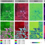 New publication on time-series web application