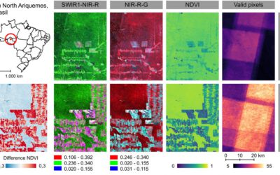 New publication on time-series web application