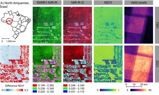 New publication on time-series web application