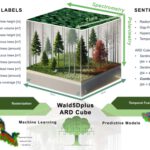 EORC Talk: Wald5Dplus: An open benchmark dataset for the combined spatial, spectral, polarimetric and temporal characterization of forest stands using Sentinel-1 & -2