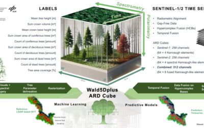 EORC Talk: Wald5Dplus: An open benchmark dataset for the combined spatial, spectral, polarimetric and temporal characterization of forest stands using Sentinel-1 & -2