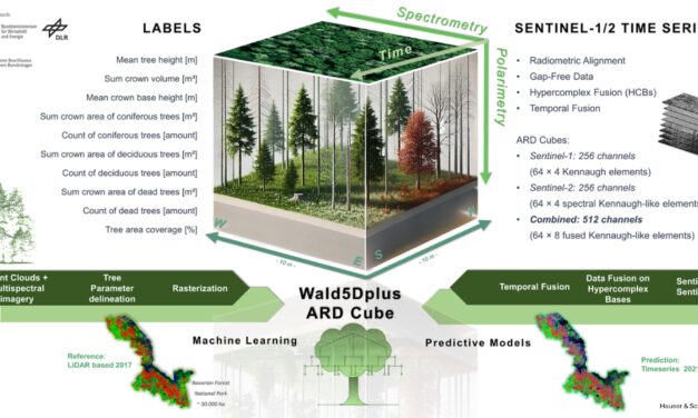 EORC Talk: Wald5Dplus: An open benchmark dataset for the combined spatial, spectral, polarimetric and temporal characterization of forest stands using Sentinel-1 & -2