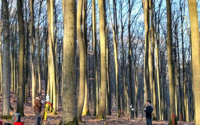 Enhancing LiDAR-Based Forest Analysis: A Successful Field Day in the Spessart