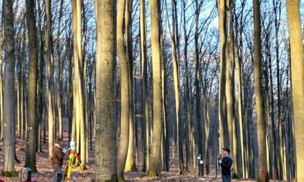 Enhancing LiDAR-Based Forest Analysis: A Successful Field Day in the Spessart