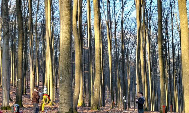 Enhancing LiDAR-Based Forest Analysis: A Successful Field Day in the Spessart