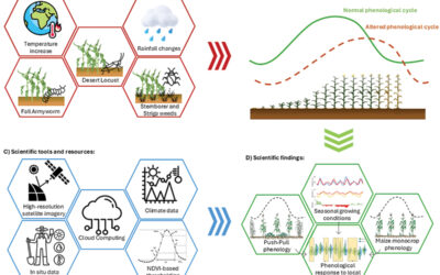 How does seasonal climate affect Maize cultivation in East Africa